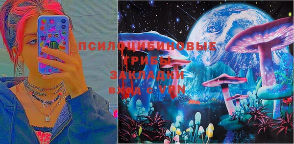 spice Арсеньев